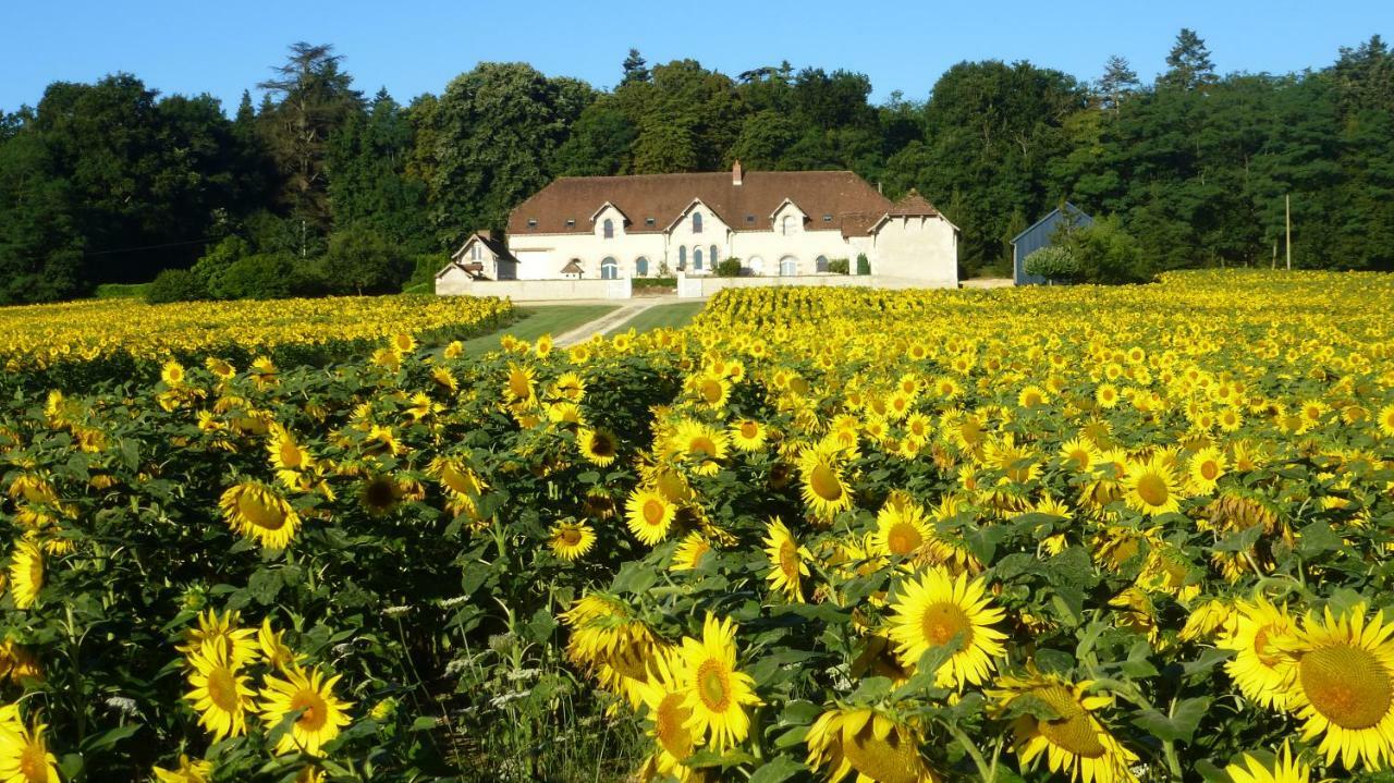 Domaine De La Maison Neuve Saint-Jean-Saint-Germain Esterno foto