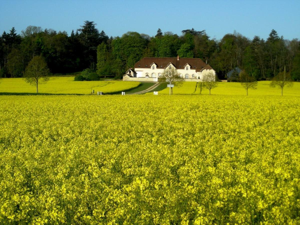 Domaine De La Maison Neuve Saint-Jean-Saint-Germain Esterno foto